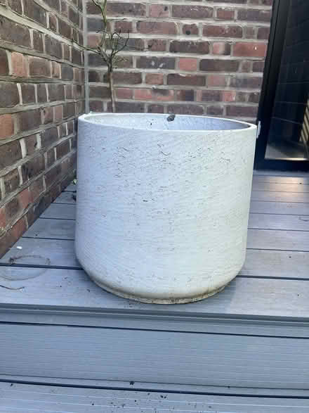 Photo of free large pot (Hampstead NW6) #2