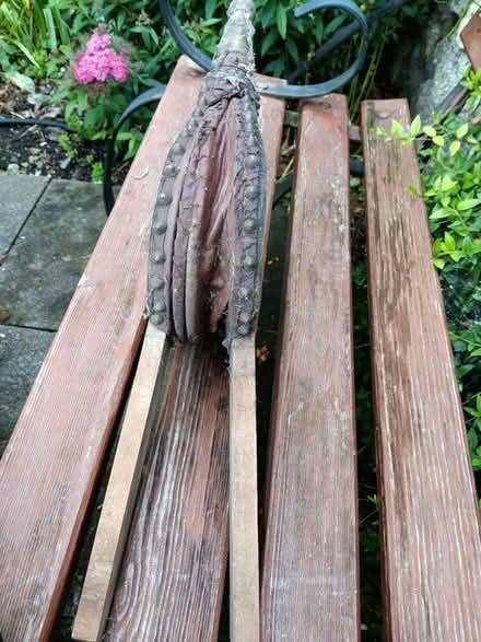 Photo of free Bellows (Rathmines/Ranelagh) #1