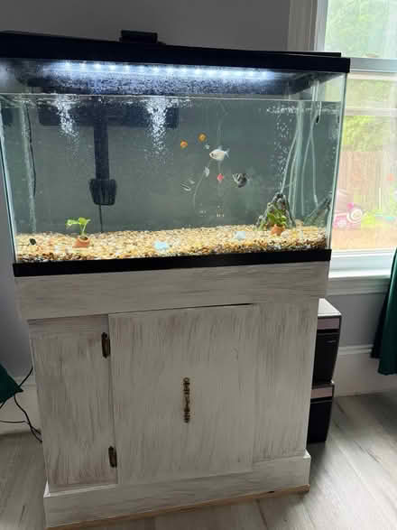 Photo of free glass fish tank (Fitchburg) #1