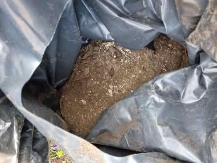 Photo of free Garden Soil (Fiveways Brighton) #2
