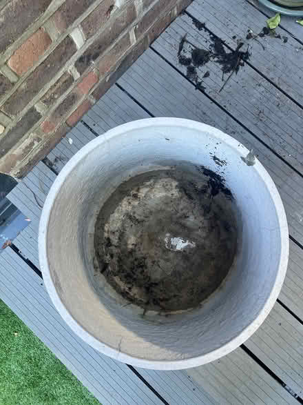 Photo of free large pot (Hampstead NW6) #3