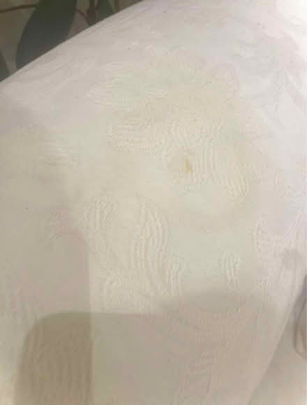 Photo of free Shabby chic ornate brocade sofa (W7) #4