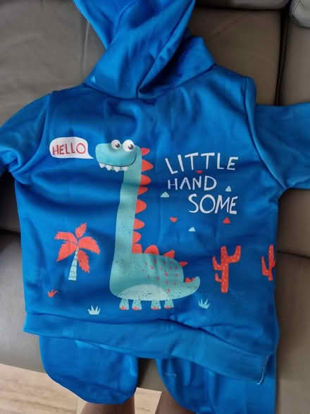 Photo of free Dinosaur outfit (Erdington B24) #2