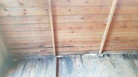 Photo of free 8ft x 6ft wooden hut needs repair (Parson Cross S5) #2