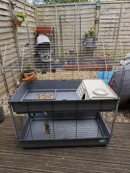 Photo of free Cage XL (Downs barn) #1