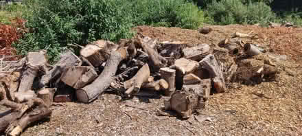 Photo of free Fire wood blocks (Da1) #2