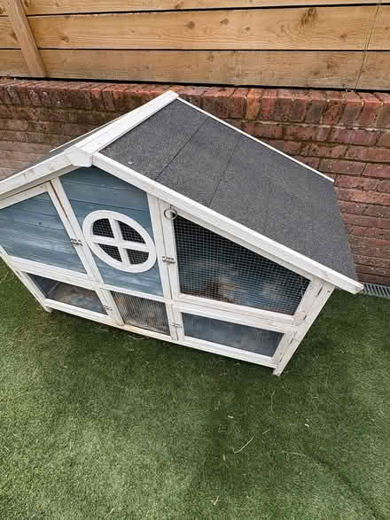 Photo of free Guinea pig 2 story house (Hemel Hempstead HP1) #2