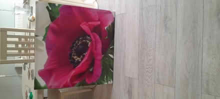 Photo of free Canvas Print (Smalley Ilkeston DE7) #2