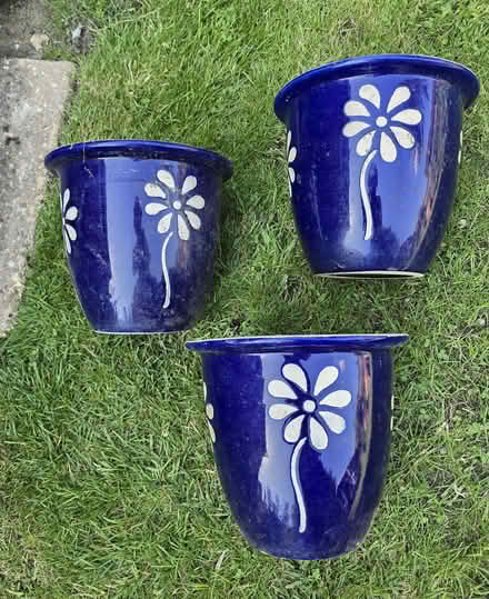 Photo of free 12 Glazed Ceramic Outdoor Plant Pots (Sprowston NR6) #1