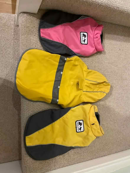 Photo of free Dog coats x3 (Chessington KT9) #1