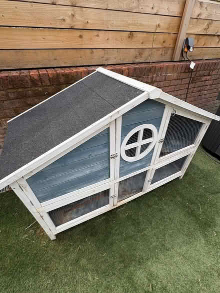 Photo of free Guinea pig 2 story house (Hemel Hempstead HP1) #4