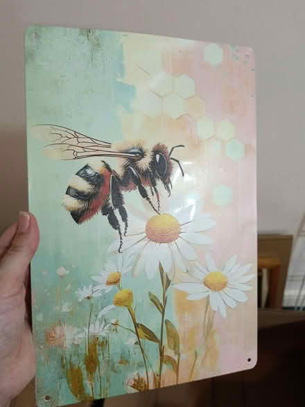 Photo of free Metal bee picture (St. Stephen's CT2) #1