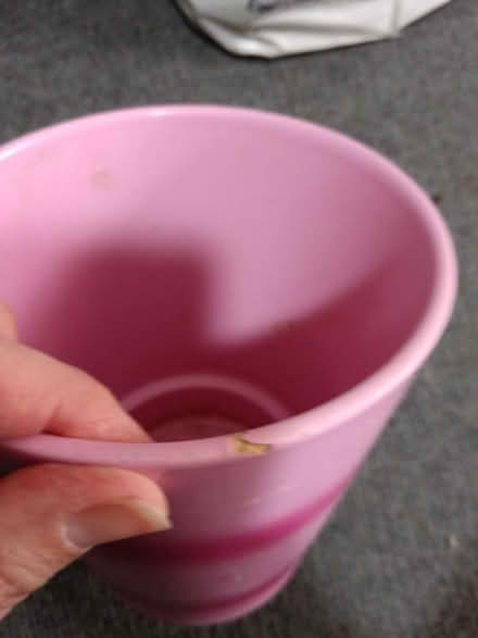 Photo of free Pink plant pot (St. Stephen's CT2) #2