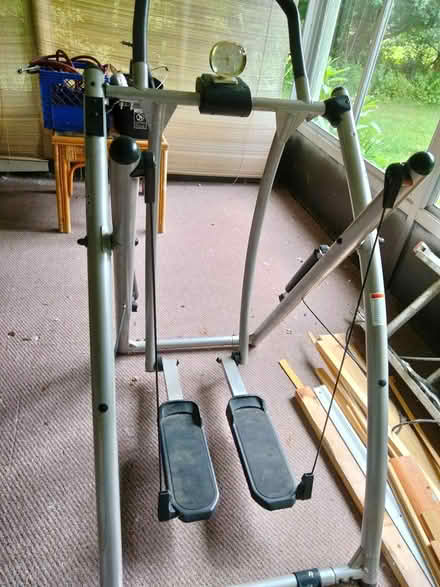 Photo of free Gazelle (Farmington Hills) #1