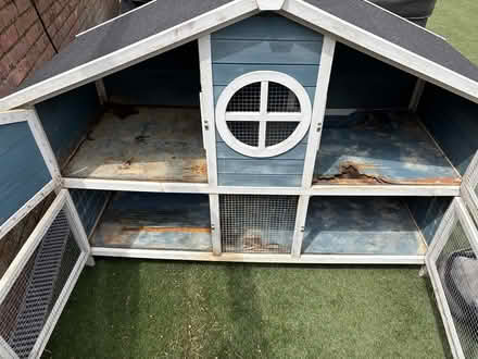 Photo of free Guinea pig 2 story house (Hemel Hempstead HP1) #3