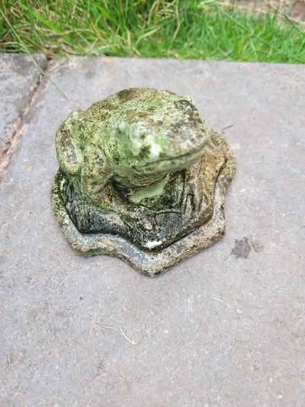 Photo of free Frog garden ornament (Shenley Fields B29) #1