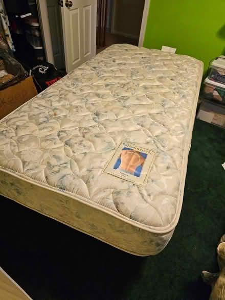 Photo of free Trundle bed (Bridgewater) #2