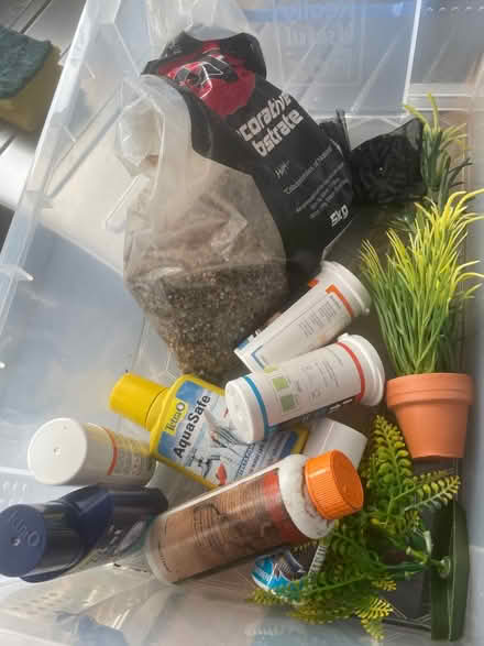 Photo of free Fish tank (Musselburgh, EH21) #2