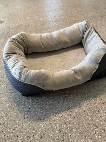 Photo of free Dog bed (North Barrington) #1