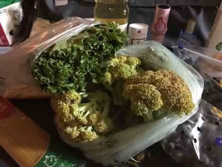 Photo of free Food Pantry Staples (Bronx, Ny) #2