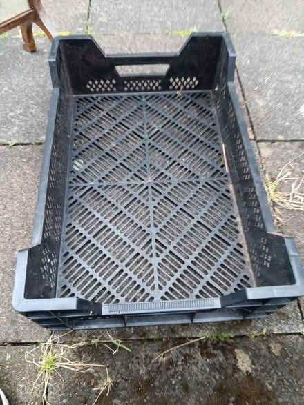 Photo of free Plastic tray (Rathmines/Ranelagh) #1