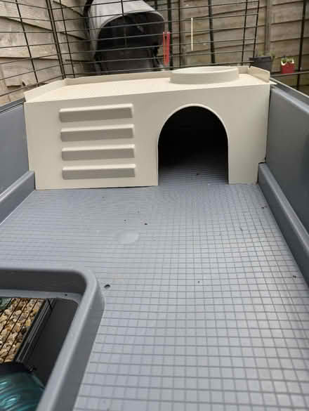 Photo of free Cage XL (Downs barn) #4