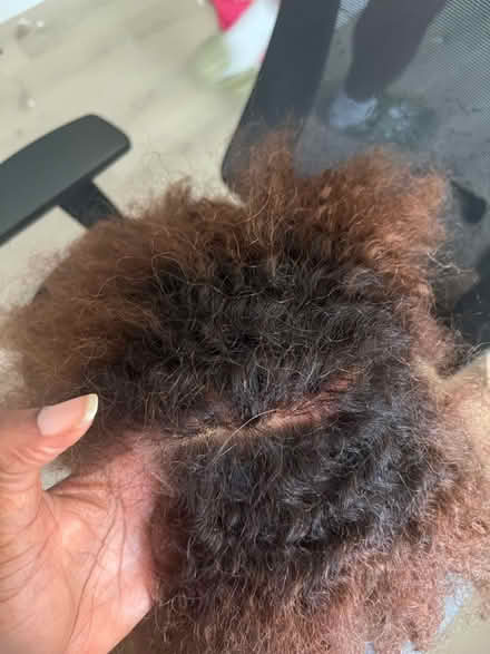 Photo of free 2 wigs and wig cap (Redmond) #3