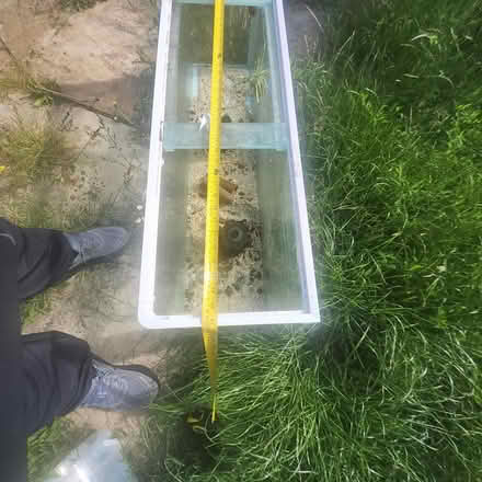 Photo of free Fish Tanks Fishtank (CH4 0QY) #2