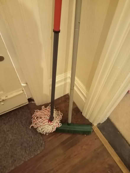 Photo of free Plastic toothed broom (Drayton PO6) #1