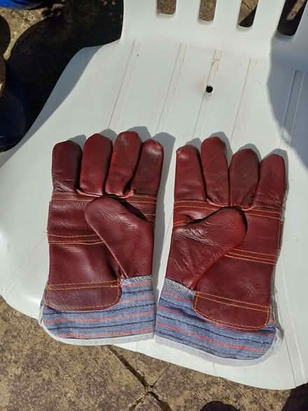 Photo of free Pair large hands size men's gardening/work gloves (Earley RG6) #2