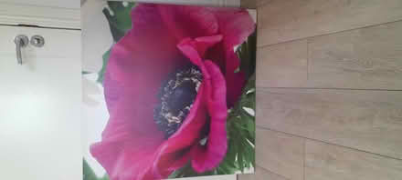 Photo of free Canvas Print (Smalley Ilkeston DE7) #1