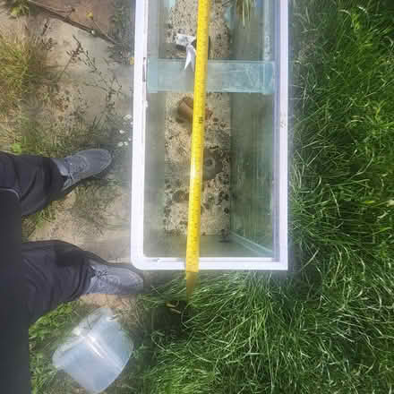 Photo of free Fish Tanks Fishtank (CH4 0QY) #3