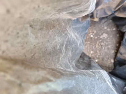 Photo of free Garden Soil (Fiveways Brighton) #3
