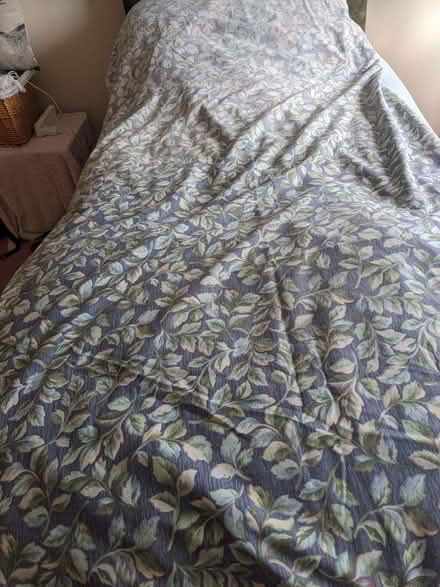 Photo of free King-sized Duvet Cover no. 2 (Caversham Park RG4) #2