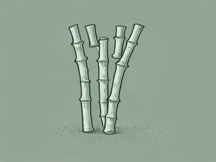 Photo of Dried bamboo canes (Cockfosters N14) #1