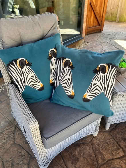 Photo of free SophieAlport cushions (Old Windsor SL4) #1