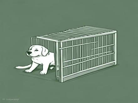 Photo of xl or xxl dog cages (tamworth B77) #1
