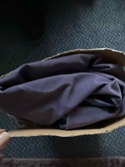Photo of free Single airbed (Ashford TW15) #2