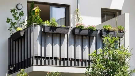 Photo of free Balcony Privacy Screen (Firhouse, D24) #2