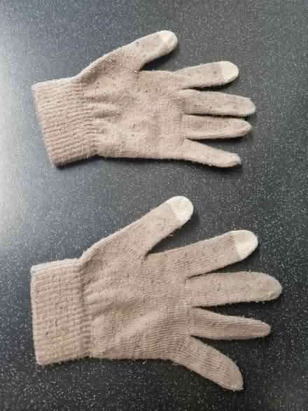 Photo of free Gloves (SE20) #1