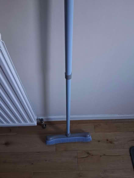 Photo of free Rubber-bristled Broom (Gleneagles area, Wboro NN8) #1