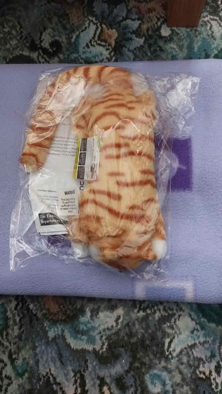 Photo of free Rolling laughing cat (dorset BH12) #2