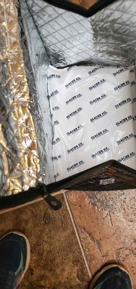 Photo of free Thermal cooler bag (NE Carlisle and Indian School) #2