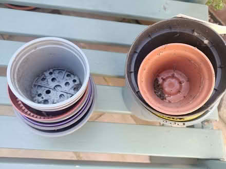Photo of free Plastic plant pots (Chapelfields CV5) #3