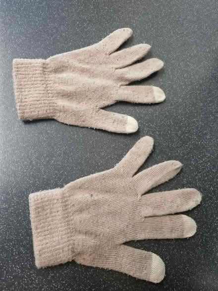 Photo of free Gloves (SE20) #2
