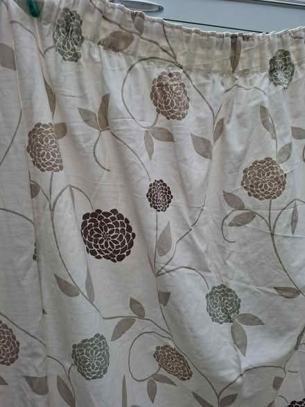 Photo of free Pair of curtains (Repton DE65) #2