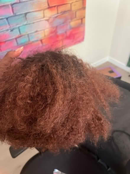 Photo of free 2 wigs and wig cap (Redmond) #2