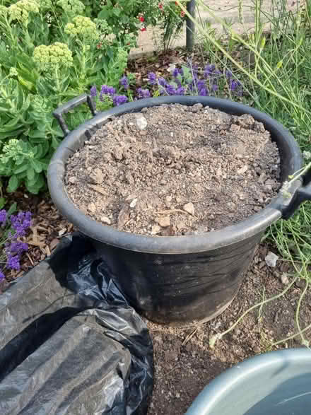 Photo of free Garden Soil (Fiveways Brighton) #1