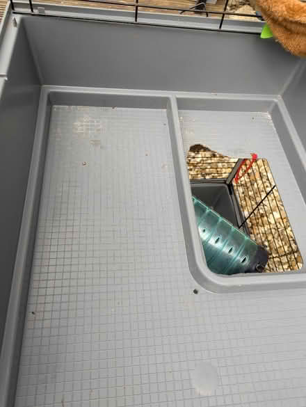 Photo of free Cage XL (Downs barn) #3