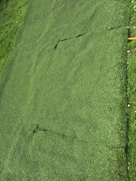 Photo of free Fake grass (Bowbridge GL5) #2